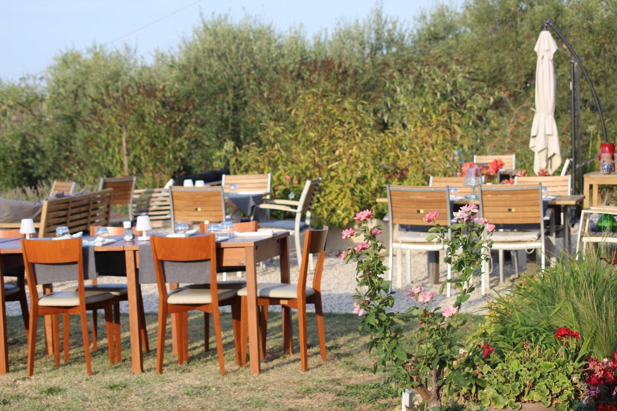 Gastronomic B&B Carlocarla Monte San Pietrangeli Kültér fotó
